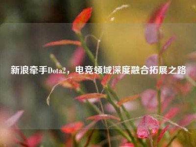 新浪牵手Dota2，电竞领域深度融合拓展之路