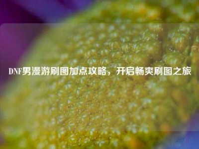 DNF男漫游刷图加点攻略,开启畅爽刷图之旅