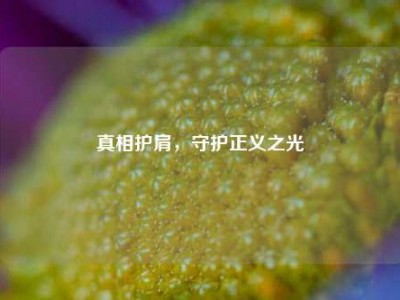 真相护肩，守护正义之光