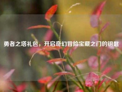 勇者之塔礼包,开启奇幻冒险宝藏之门的钥匙