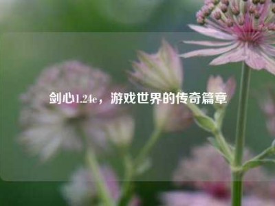 剑心1.24e，游戏世界的传奇篇章