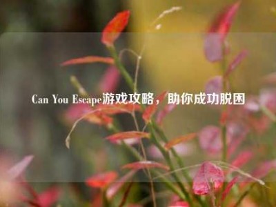 Can You Escape游戏攻略，助你成功脱困
