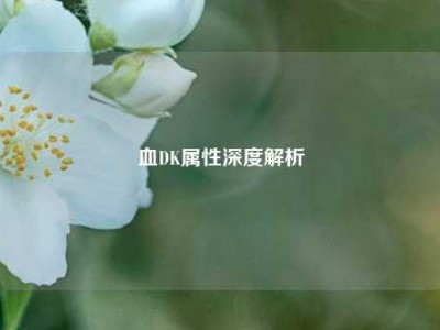 血DK属性深度解析
