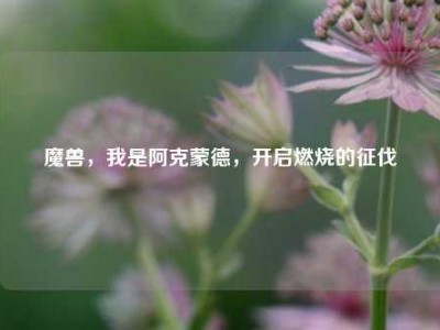魔兽，我是阿克蒙德，开启燃烧的征伐