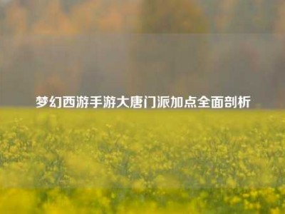 梦幻西游手游大唐门派加点全面剖析
