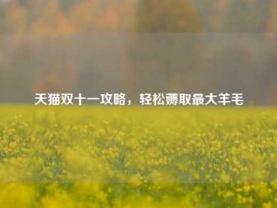 天猫双十一攻略，轻松薅取最大羊毛