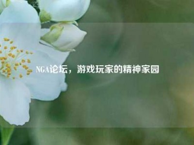 NGA论坛，游戏玩家的精神家园