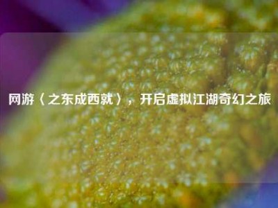 网游〈之东成西就〉，开启虚拟江湖奇幻之旅