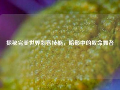 探秘完美世界刺客技能,暗影中的致命舞者
