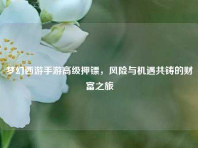 梦幻西游手游高级押镖，风险与机遇共铸的财富之旅