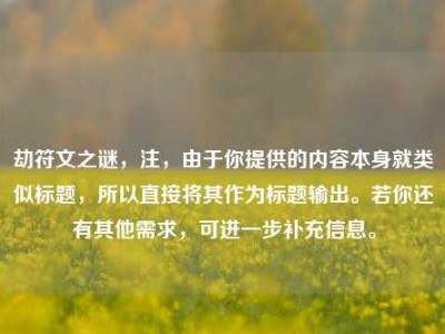 劫符文之谜，注，由于你提供的内容本身就类似标题，所以直接将其作为标题输出。若你还有其他需求，可进一步补充信息。