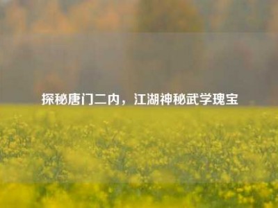 探秘唐门二内，江湖神秘武学瑰宝