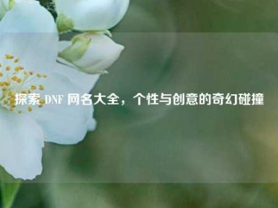 探索 DNF 网名大全,个性与创意的奇幻碰撞