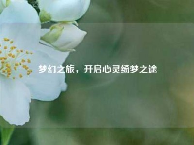 梦幻之旅,开启心灵绮梦之途