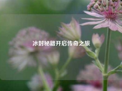 冰封秘籍开启传奇之旅