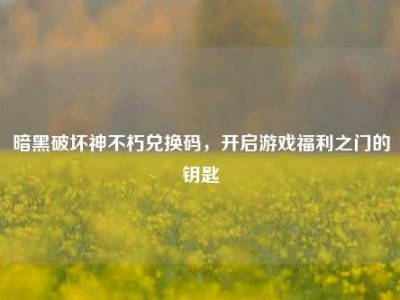 暗黑破坏神不朽兑换码,开启游戏福利之门的钥匙