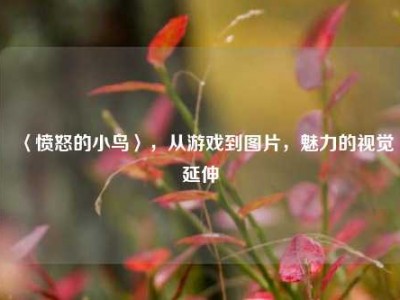 〈愤怒的小鸟〉,从游戏到图片,魅力的视觉延伸