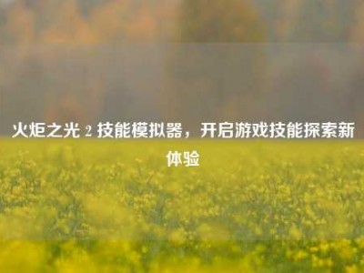 火炬之光 2 技能模拟器，开启游戏技能探索新体验
