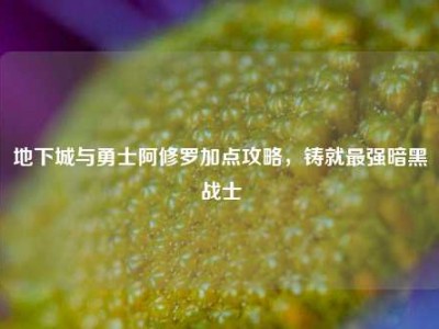 地下城与勇士阿修罗加点攻略，铸就最强暗黑战士