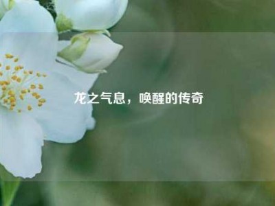 龙之气息,唤醒的传奇