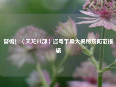 警惕！〈天龙八部〉盗号手段大揭秘及防范措施