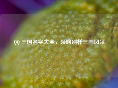 QQ 三国名字大全，领略别样三国风采