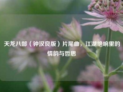 天龙八部（钟汉良版）片尾曲，江湖绝响里的情韵与哲思