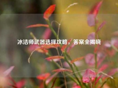 冰洁师武器选择攻略,答案全揭晓