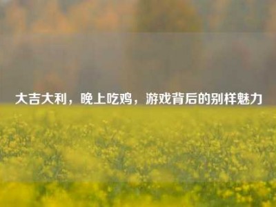 大吉大利，晚上吃鸡，游戏背后的别样魅力