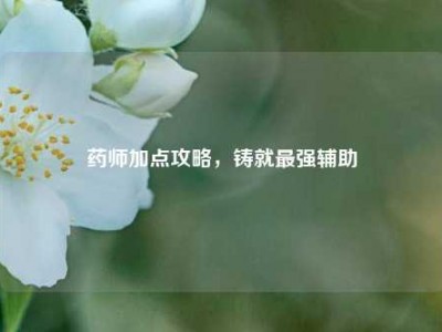 药师加点攻略,铸就最强辅助