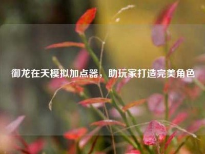御龙在天模拟加点器,助玩家打造完美角色
