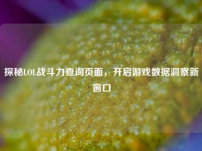 探秘LOL战斗力查询页面，开启游戏数据洞察新窗口