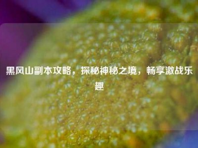 黑风山副本攻略，探秘神秘之境，畅享激战乐趣