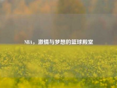 NBA，激情与梦想的篮球殿堂
