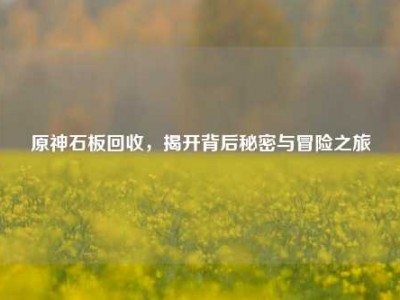 原神石板回收,揭开背后秘密与冒险之旅