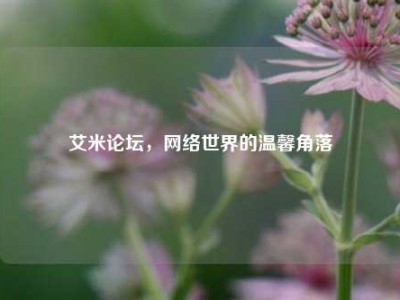 艾米论坛,网络世界的温馨角落