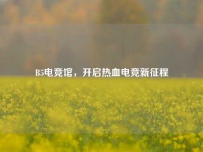 B5电竞馆,开启热血电竞新征程