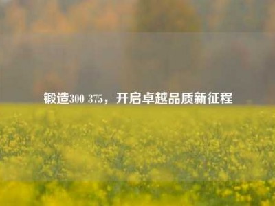 锻造300 375,开启卓越品质新征程