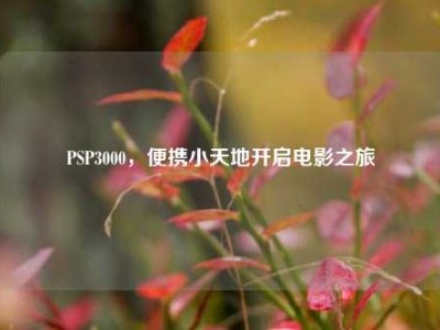PSP3000，便携小天地开启电影之旅