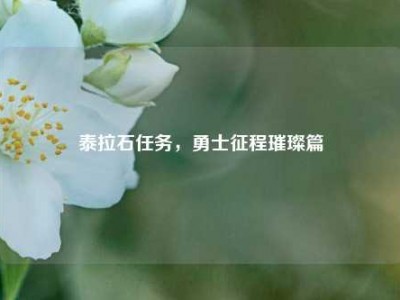 泰拉石任务，勇士征程璀璨篇