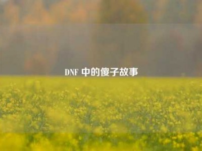 DNF 中的傻子故事