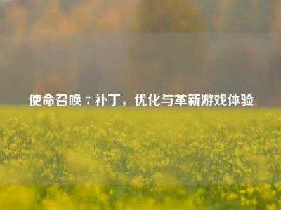 使命召唤 7 补丁,优化与革新游戏体验