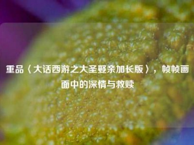 重品〈大话西游之大圣娶亲加长版〉，帧帧画面中的深情与救赎