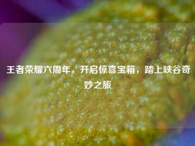 王者荣耀六周年，开启惊喜宝箱，踏上峡谷奇妙之旅
