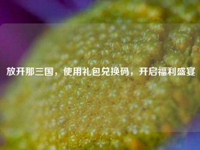 放开那三国，使用礼包兑换码，开启福利盛宴