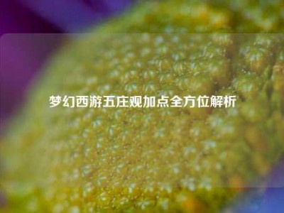 梦幻西游五庄观加点全方位解析