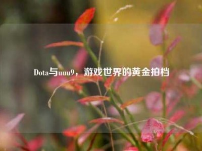 Dota与uuu9，游戏世界的黄金拍档