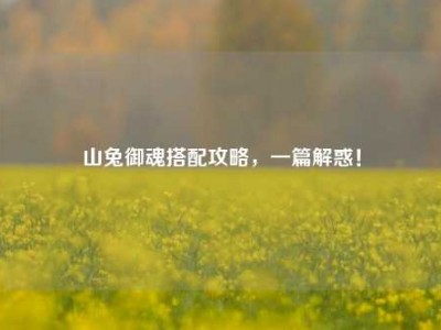 山兔御魂搭配攻略,一篇解惑!