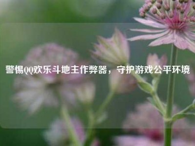 警惕QQ欢乐斗地主作弊器，守护游戏公平环境