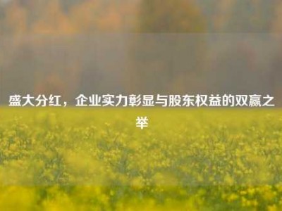 盛大分红，企业实力彰显与股东权益的双赢之举